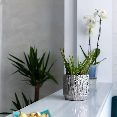 Central Exquisite White